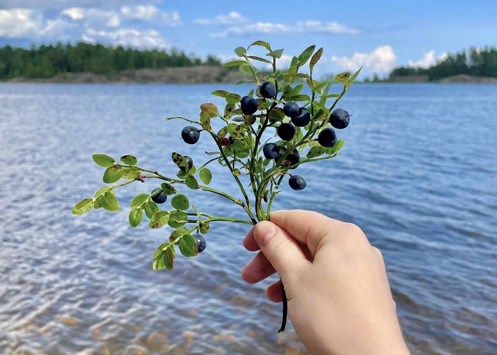 Галлерея фото с приключения